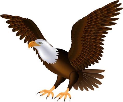 Eagle Png Clip Art 1454 Clipart Of - Transparent Background Eagle Clipart - Full Size Clipart ...