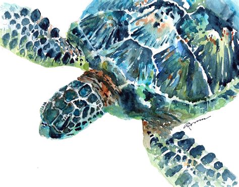 Loose watercolor painting of Green Sea Turtle (#7) by Claudia Hafner SOLD. #seaturtle # ...