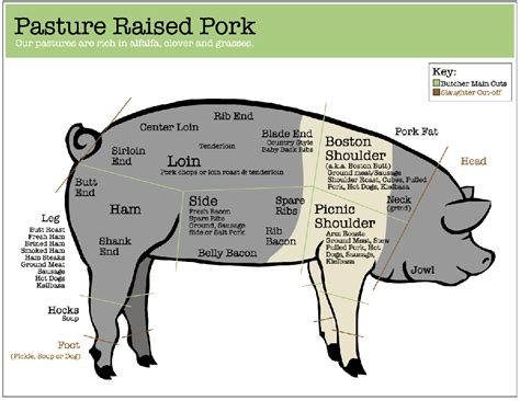 Pork Diagram | Homesteading, Raising pigs, Animal science