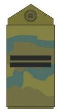 Kazakhstan Kazakh army ranks combat field military dress uniforms grades uniformes armee Kazakh ...