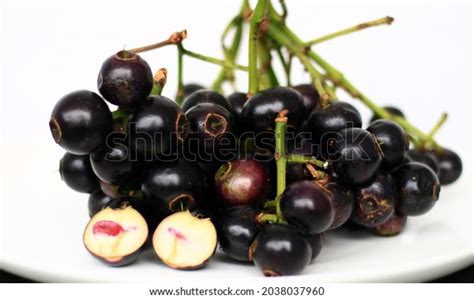 Gowok Fruit Syzygium Polycephalum On White Stock Photo 2038037960 | Shutterstock