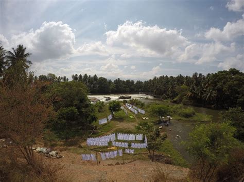 Cardamom Hills Spice Plantation Tour | Nothing But Blue Skies