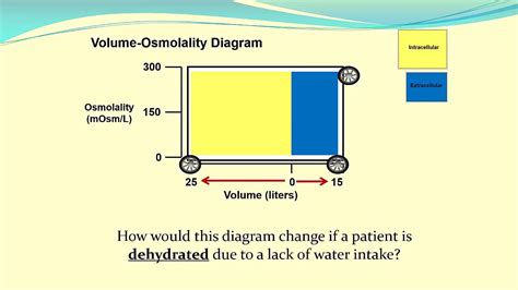 Using Volume-Osmolality Diagrams to Understand Body Fluid Status - YouTube