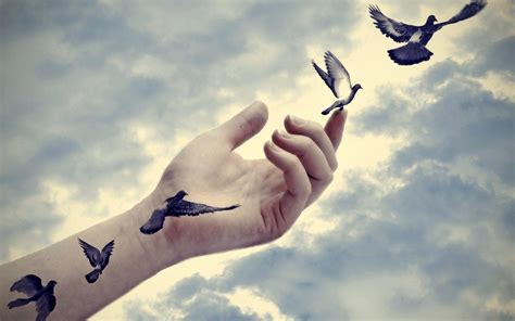 Flying Birds Wallpapers - Top Free Flying Birds Backgrounds ...