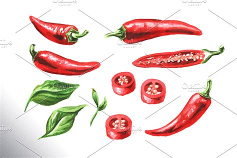 Chili pepper. Watercolor collection | Pre-Designed Photoshop Graphics ~ Creative Market