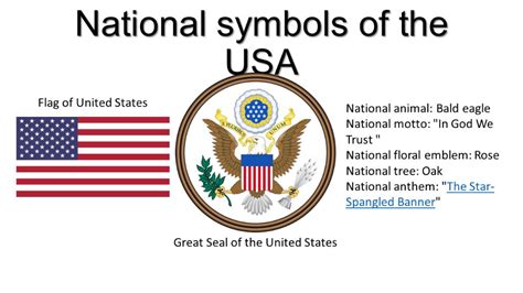 The US National Symbols - Google Search