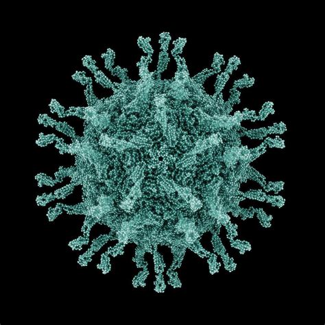 Poliovirus Structure