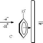 Mechanism of electro-oxidation of phenol. 19-23 Adsorption of phenol on... | Download Scientific ...