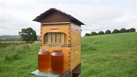 The Flow Hive Just Completely Revolutionized Beekeeping - SolidSmack