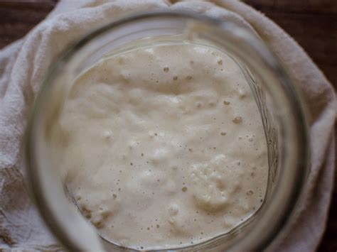 Yeast Vs. Sourdough Starter (Understanding the Difference) - A Quaint Life