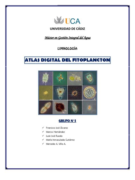 ATLAS DEL FITOPLANCTON | Fitoplancton | Algas