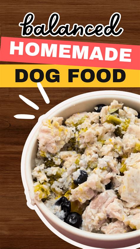 Homemade Dog Food Recipes for Weight Management - nikki - pet nutrition