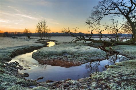 New Forest - England Photograph by Joana Kruse - Fine Art America