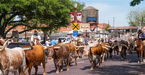 Tourist Spots Near Texas