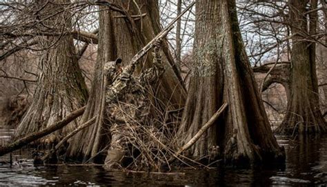 Wood Duck Hunting 101: 10 Ultimate Wood Duck Tips– Hunting and Fishing Depot