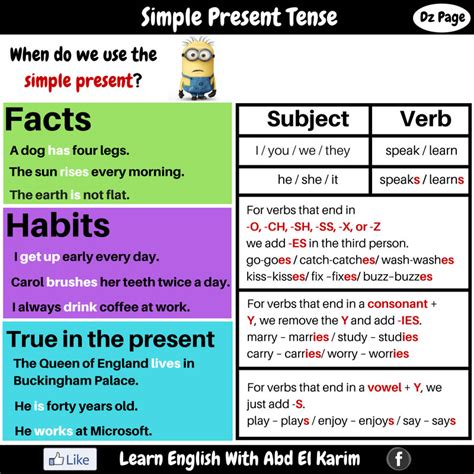 Simple Present Tense – Detailed Expressions | Vocabulary Home