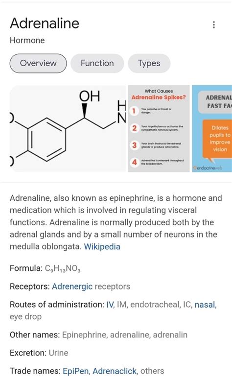 Adrenaline Hormone Overview Function Types What Causes O H Adrenaline Spikes? ADRENAL FAST FA ...