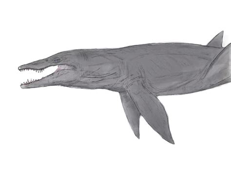 Pliosaurus by oroti0 on DeviantArt