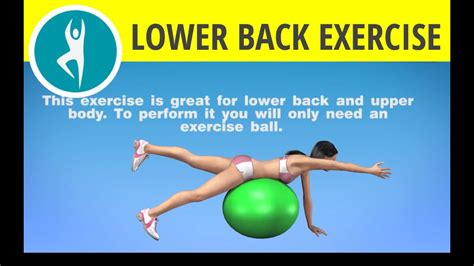 Fitness Ball Exercises For Lower Back Pain - FitnessRetro