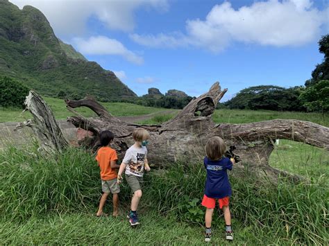 Kualoa Ranch: For Lovers of Jurassic Park, Film, & TV | A. Perez Voyages