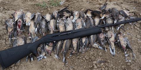 Benelli Super Black Eagle 3 28- Gauge Excellence - Born Hunting