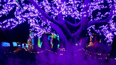 Atlanta Botanical Garden Lights Map | Americanwarmoms.org