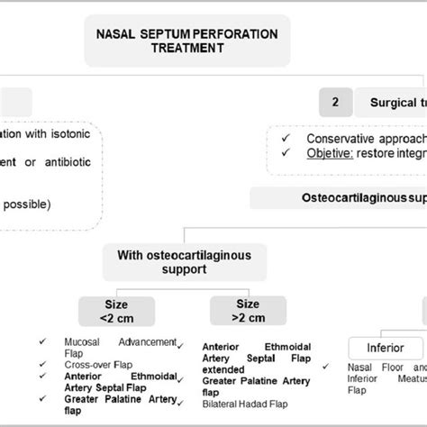 Algorithm of the treatment of nasal septum perforation | Download Scientific Diagram