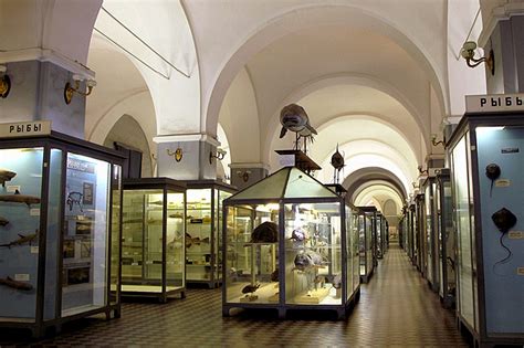 The Zoological Museum in St. Petersburg, Russia