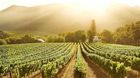 5 ideal Cape Town getaways for wine lovers | ComeToCapeTown