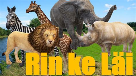 The Names of Animals in Dinka and English - YouTube