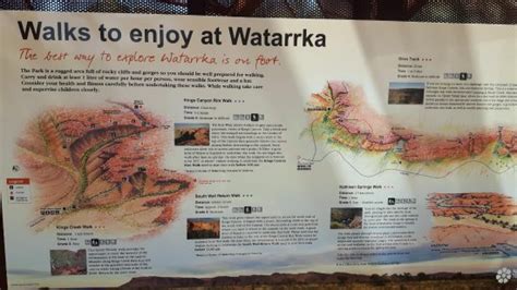 Watarrka National Park (Red Centre): Aggiornato 2017 - tutto quello che ...