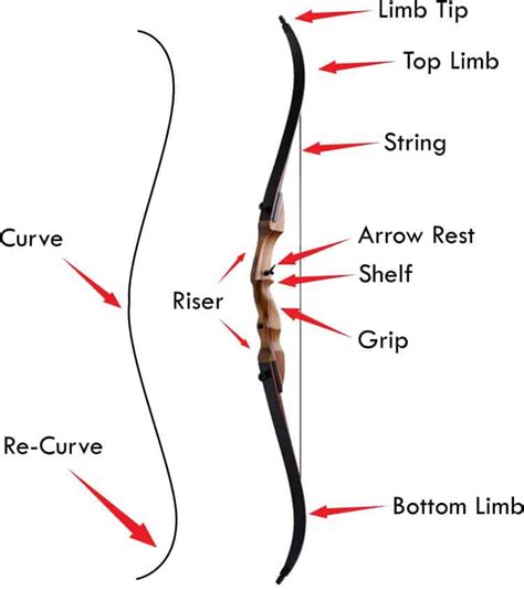 What bow types are available to the archer and hunter? » targetcrazy.com