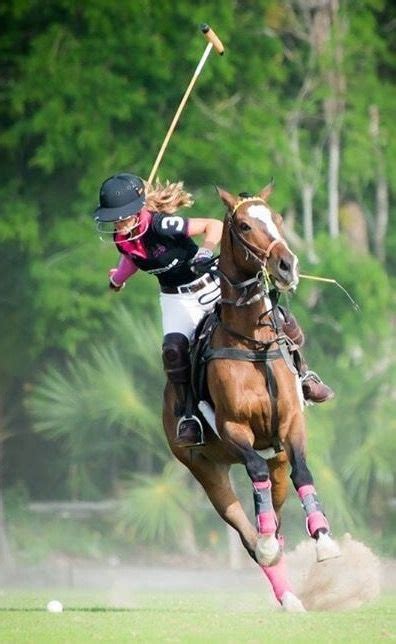 175 Best Polo images in 2020 | Polo horse, Sport of kings, Polo