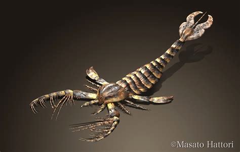 Megalograptus | Prehistoric creatures, Prehistoric animals, Paleo art