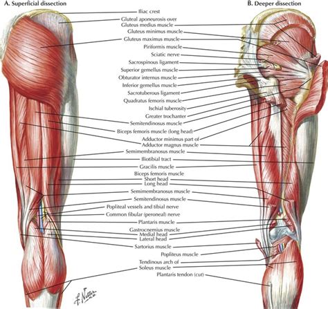 Maintenance Monday: My Hottest Hip Stretches