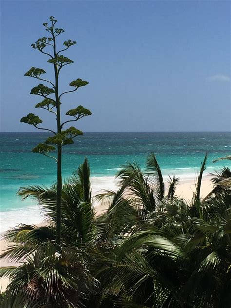 ~ Eleuthera Bahamas ~ | Eleuthera bahamas, Eleuthera, Bahamas