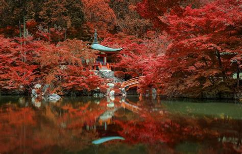 Premium Photo | Autumn foliage at Daigo ji temple Kyoto Japan