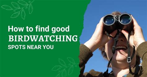 How To Find Good Birdwatching Spots - My Birdwatching