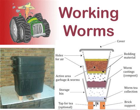 Vermiculture - DIY Instructions for Creating Your Own Worm Composter at workingworms ...