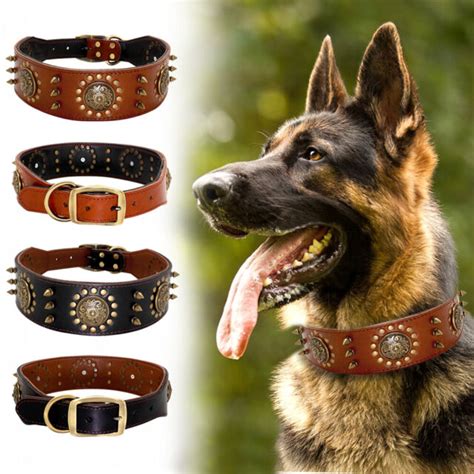 Spiked Studded Dog Collar Genuine Leather 2" Wide Adjustable Rottweiler ...