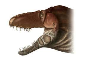 Weird T. rex forerunner had small horns and crocodile-like snout | New Scientist