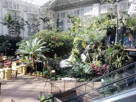 Opryland Hotel | Opryland hotel, Places, Favorite places