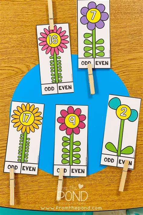 Odd and Even Activity Cards | Activity cards, Math activities preschool, Kindergarten classroom ...