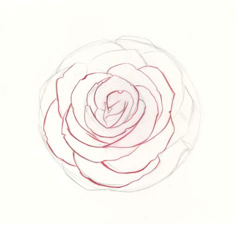 How to Draw Roses | An Easy and Complete Step-by-Step Drawing Demo