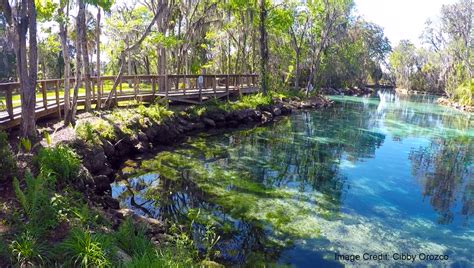 5 Reasons To Visit Three Sisters Springs This Year