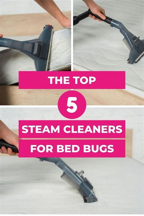 The Top 5 Steam Cleaners for Bed Bugs | Best steam cleaner, Steam cleaners, Bed bugs