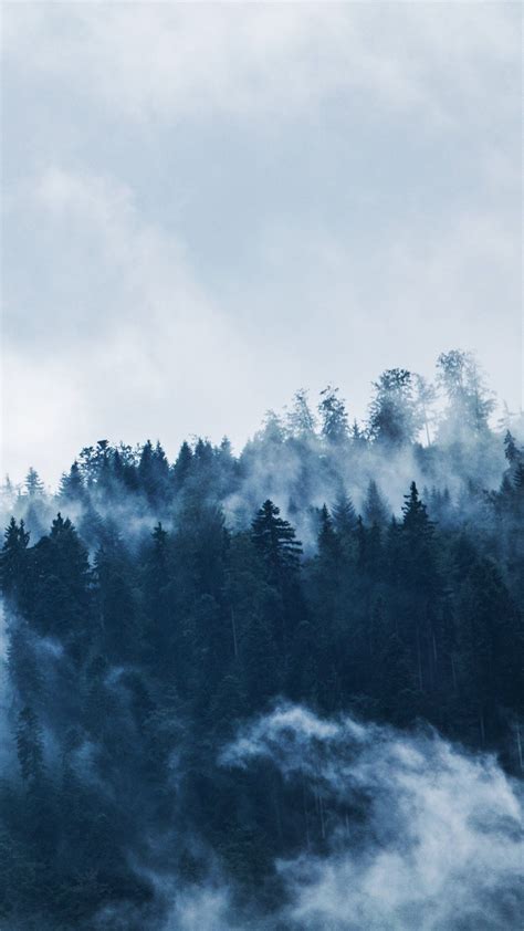 Forest Mist Wallpaper - iPhone, Android & Desktop Backgrounds | Nature wallpaper, Sky aesthetic ...