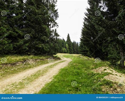 Vatra Dornei, Mountain Trip. Stock Image - Image of ethnographic ...