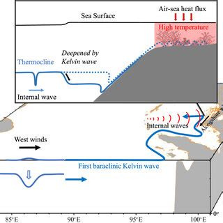 Schematic of equatorial Kelvin waves influencing IWs and coral refugia ...