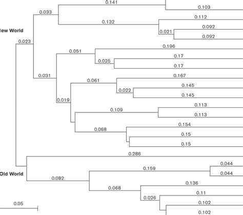 Arenavirus phylogenetic tree. Multiple sequence alignment of the... | Download Scientific Diagram